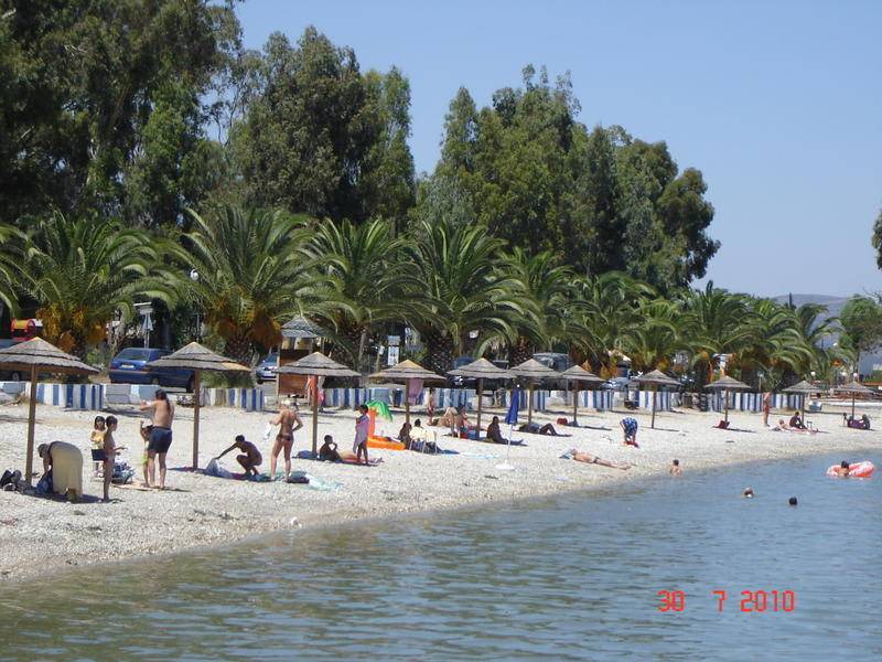 Photo of Others in Mili