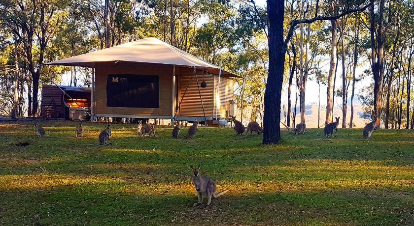 Photo of Others in Scenic Rim Regional