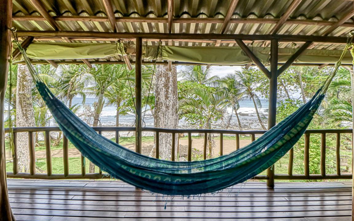 Photo of Others in Cabo Matapalo