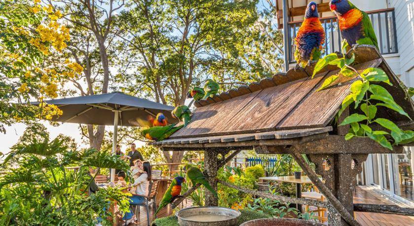 Photo of Others in Mount Tamborine