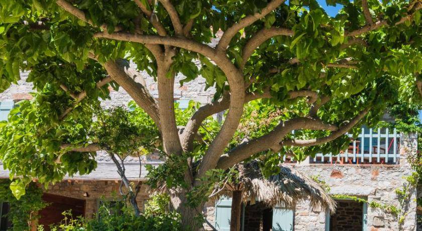 Photo of Others in Kithira