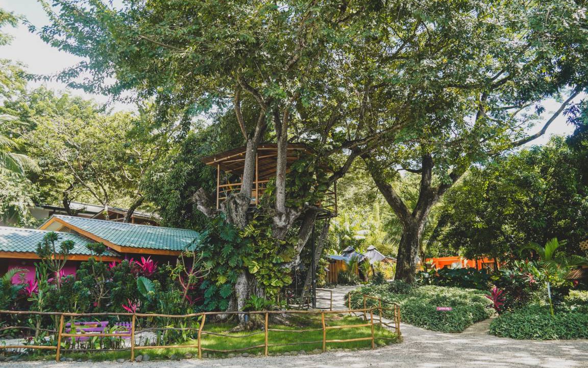 Photo of Outdoor in Playa Santa Teresa