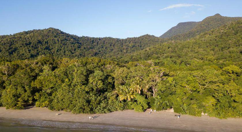 Photo of Others in Cape Tribulation