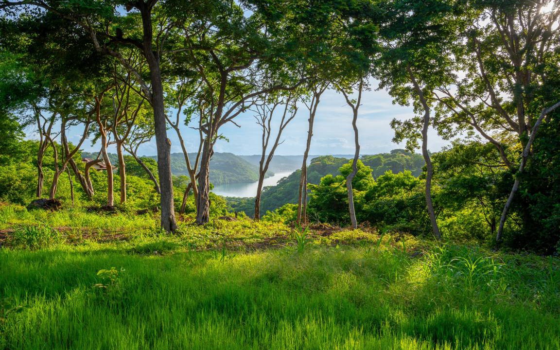 Photo of Others in Papagayo Peninsula