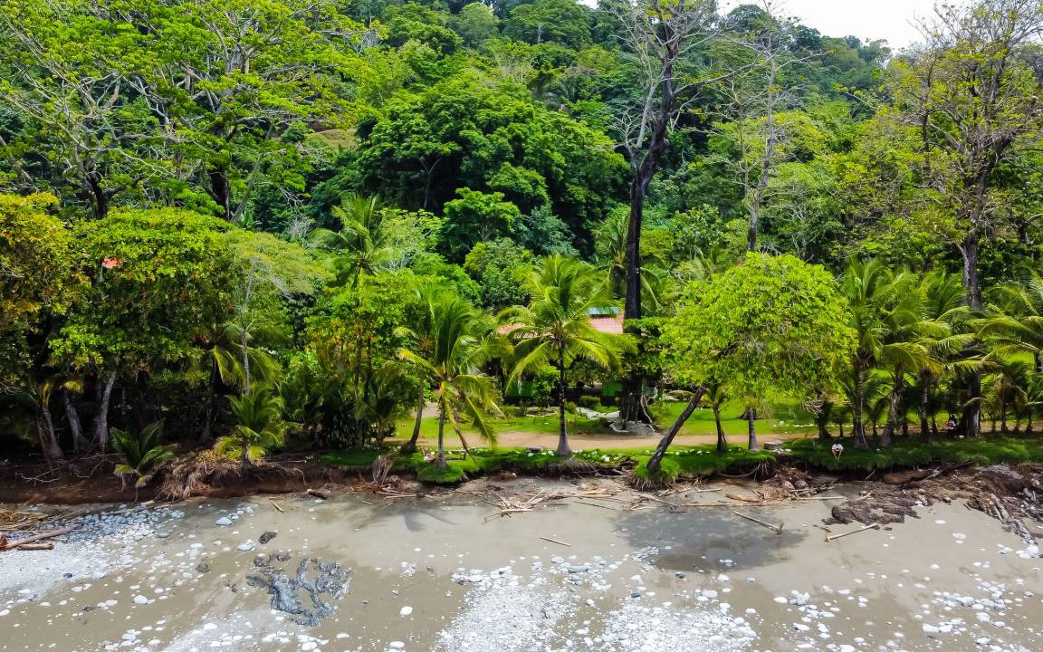 Photo of Others in Cabo Matapalo