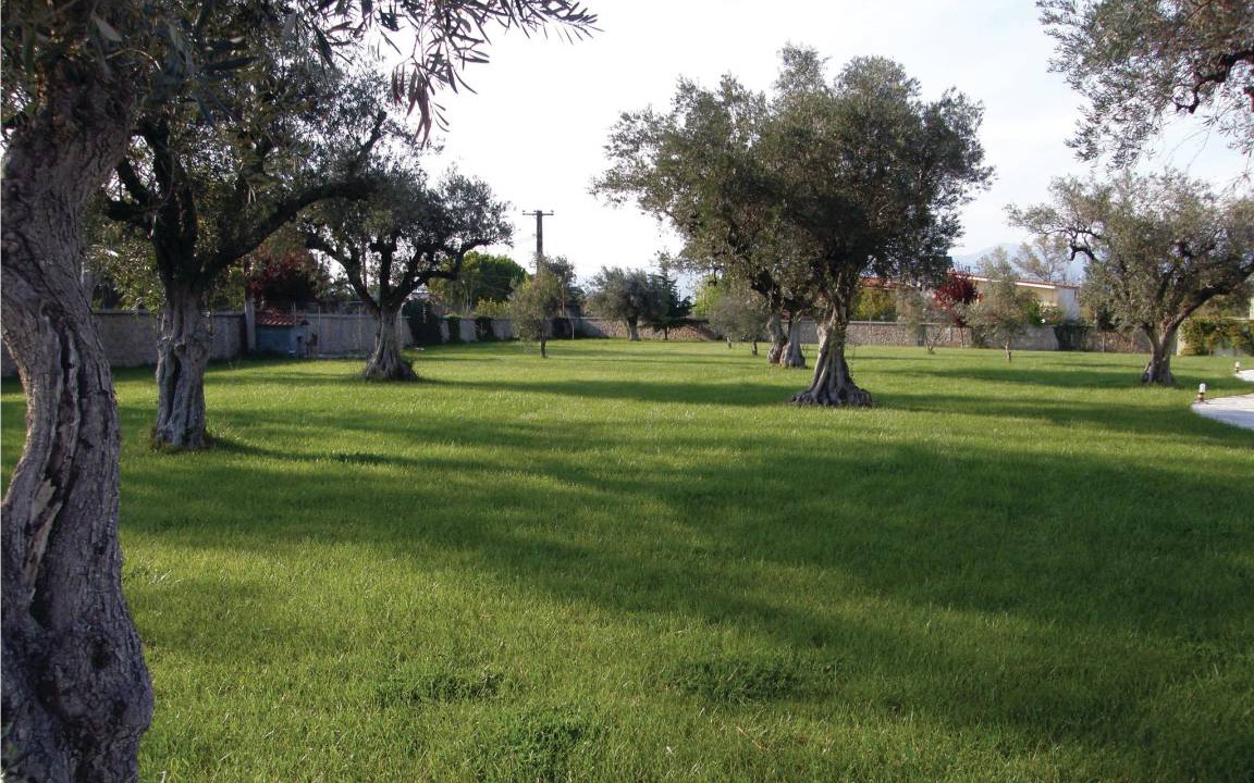Photo of Others in Molos-Agios Konstantinos
