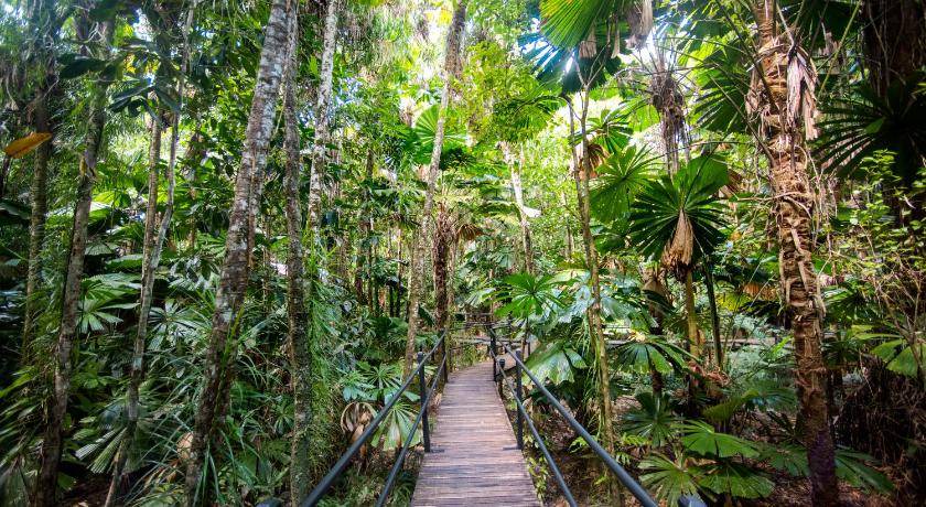 Photo of Others in Cape Tribulation