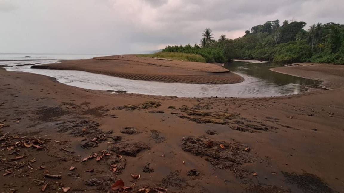 Photo of Others in Drake Bay