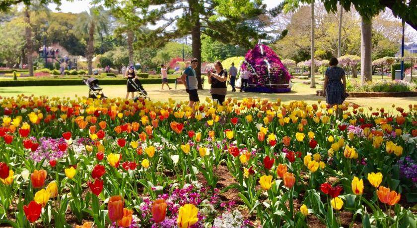 Photo of Others in Toowoomba