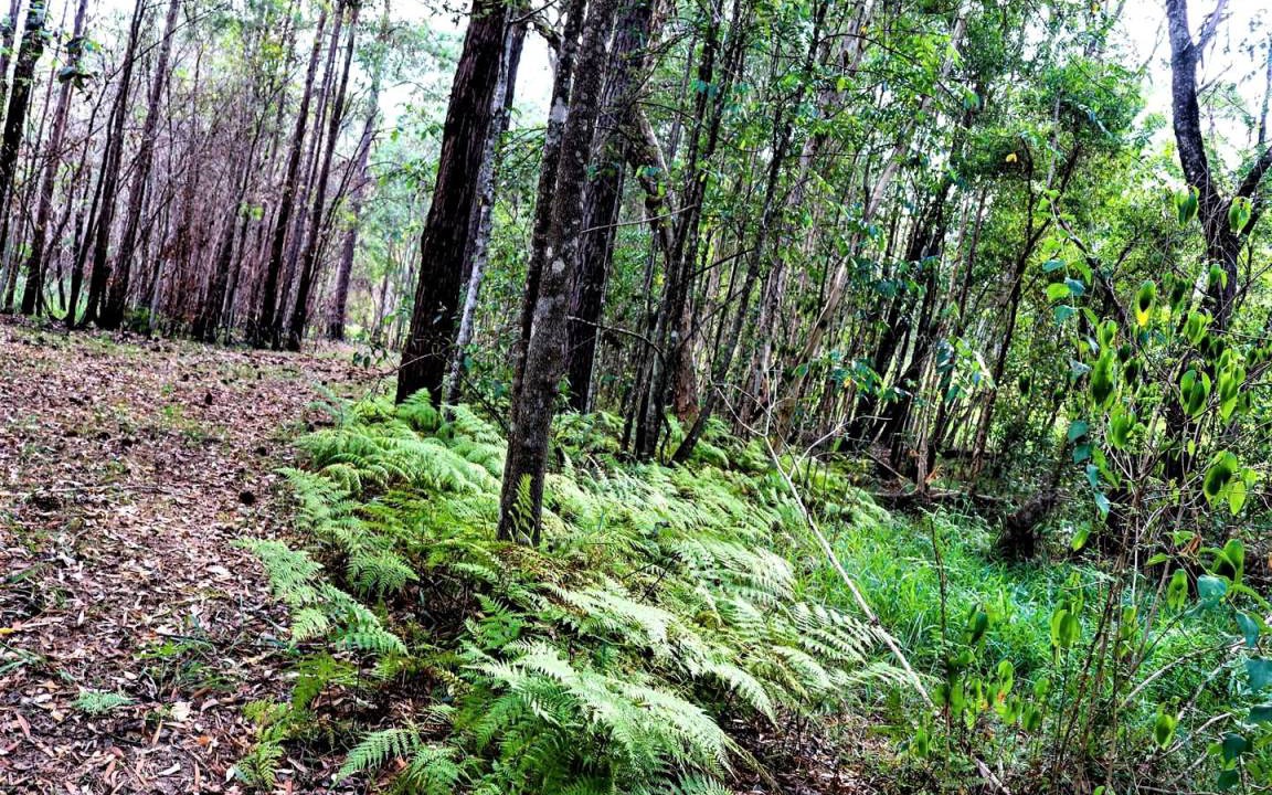 Photo of Outdoor in Glass House Mountains