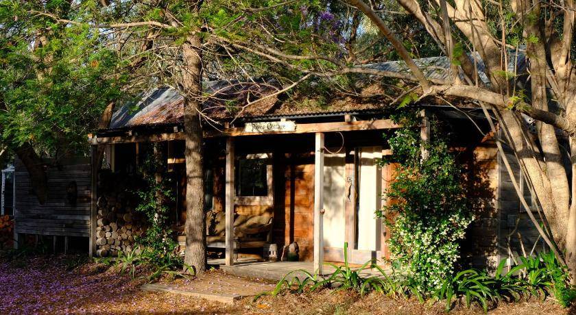 Photo of Others in Chinchilla