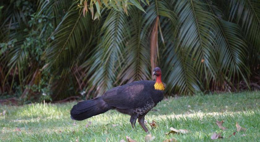 Photo of Others in North Tamborine