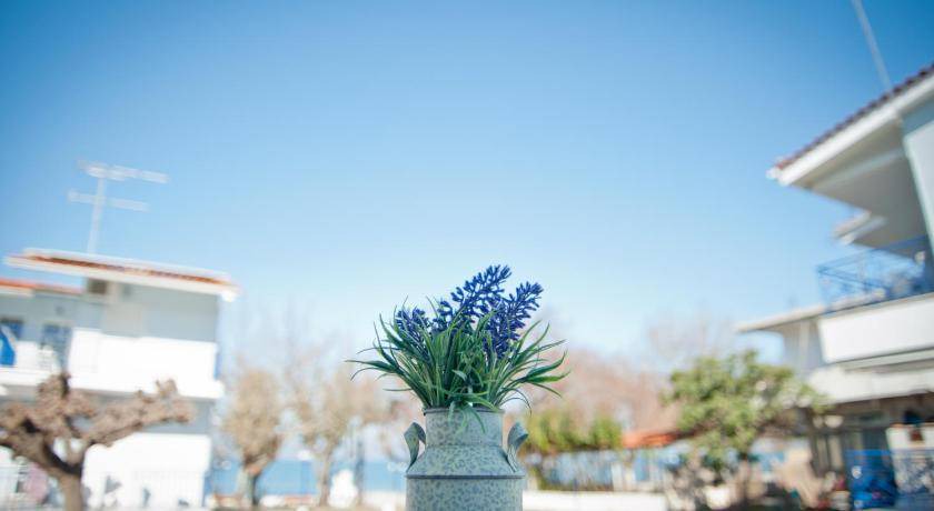 Photo of Outdoor in Rodia