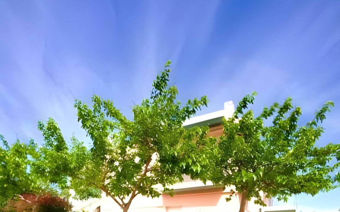 Photo of Others in Agii Apostoli