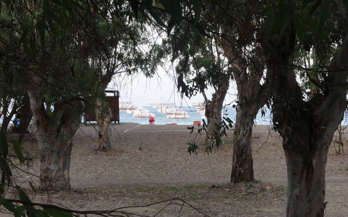 Photo of Others in Agios Andreas