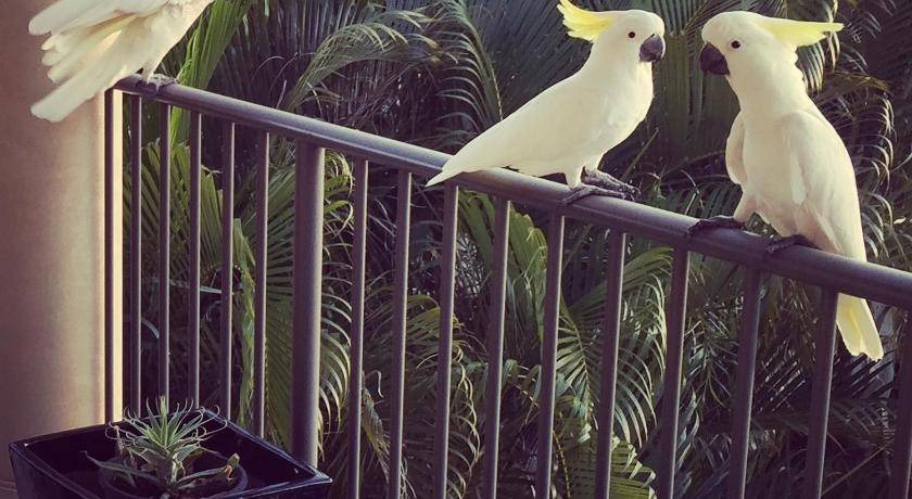 Photo of Others in Airlie Beach