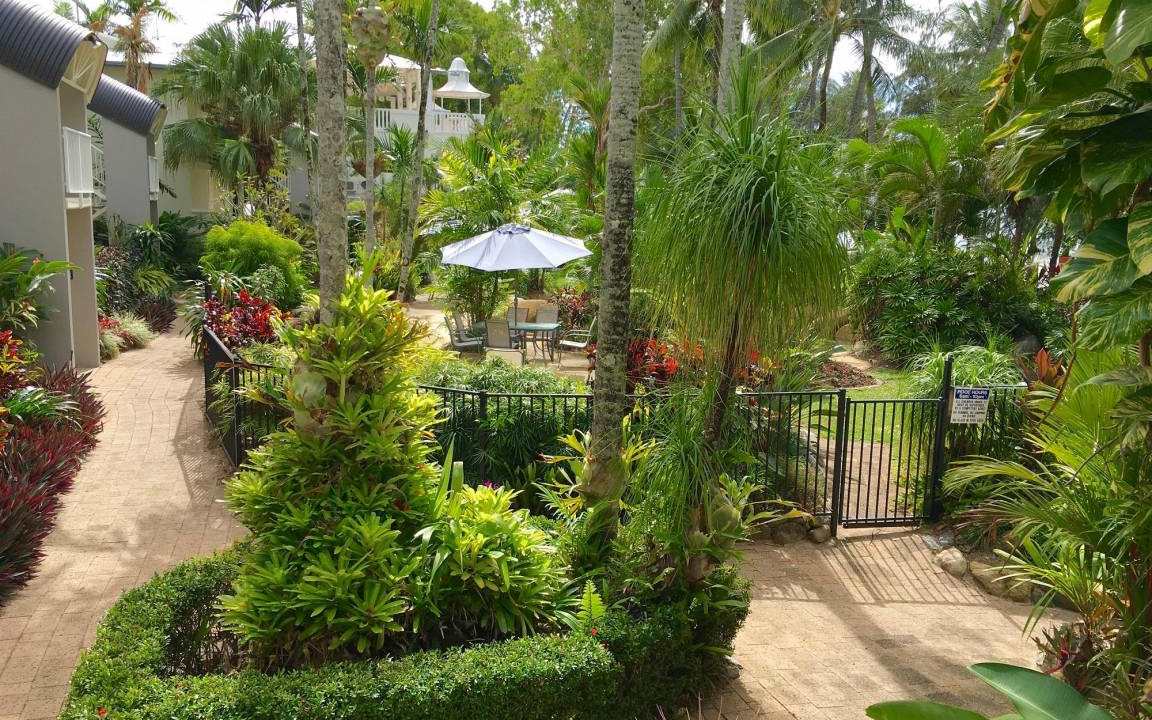Photo of Others in Palm Cove