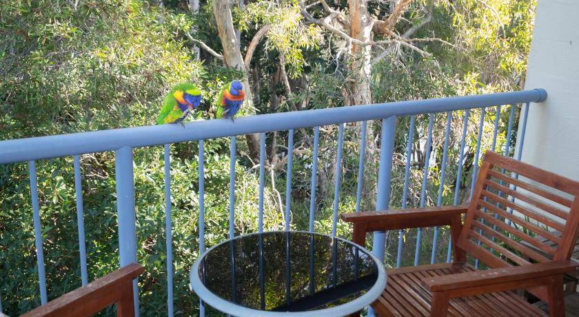 Photo of Others in Currumbin