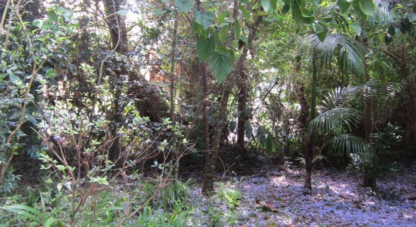 Photo of Others in North Tamborine