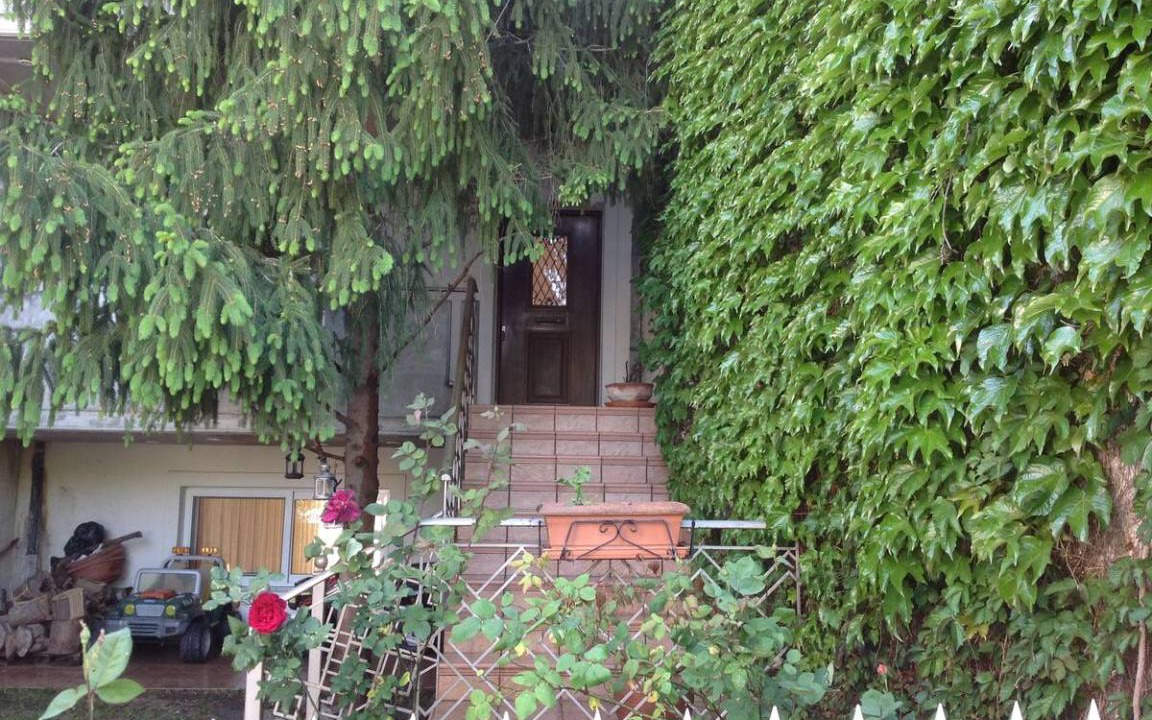 Photo of Others in Vilia