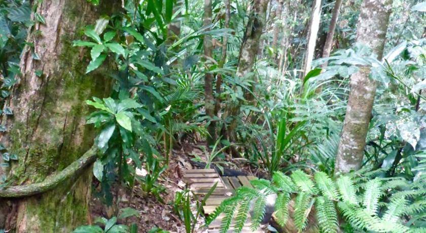 Photo of Others in Kuranda