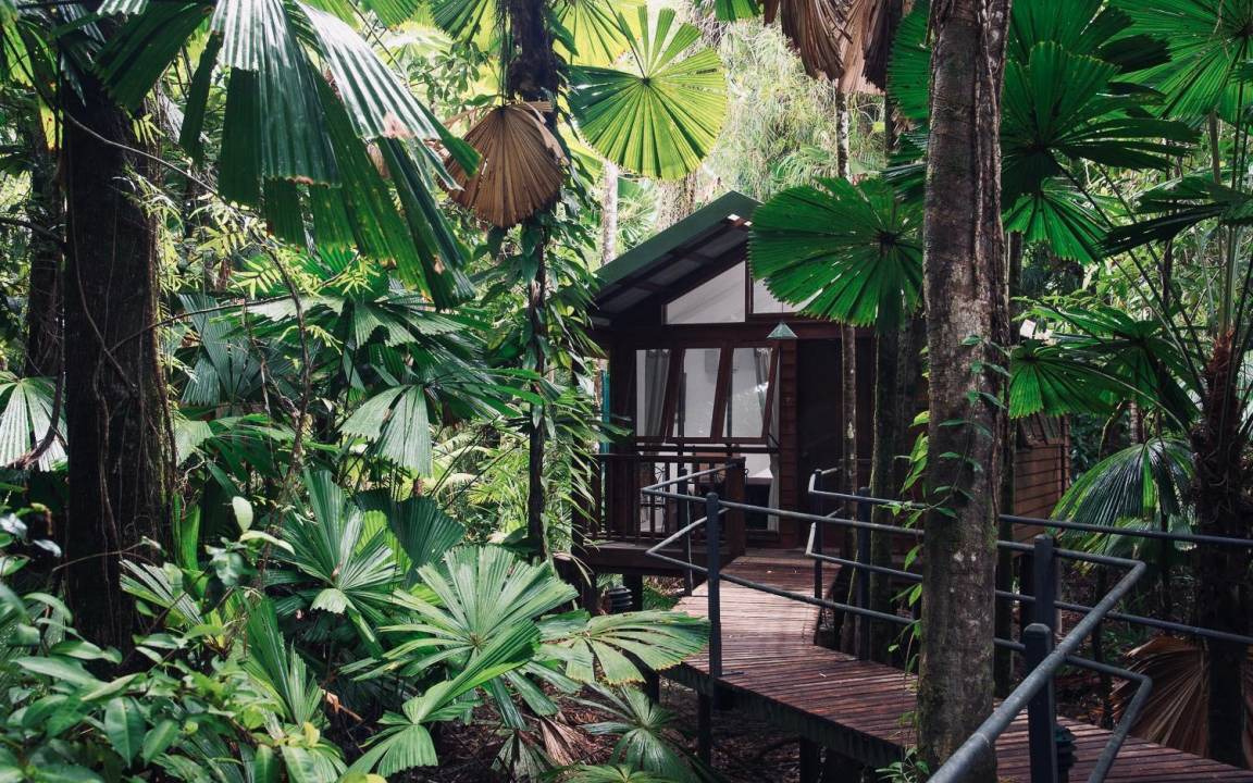 Photo of Others in Cape Tribulation