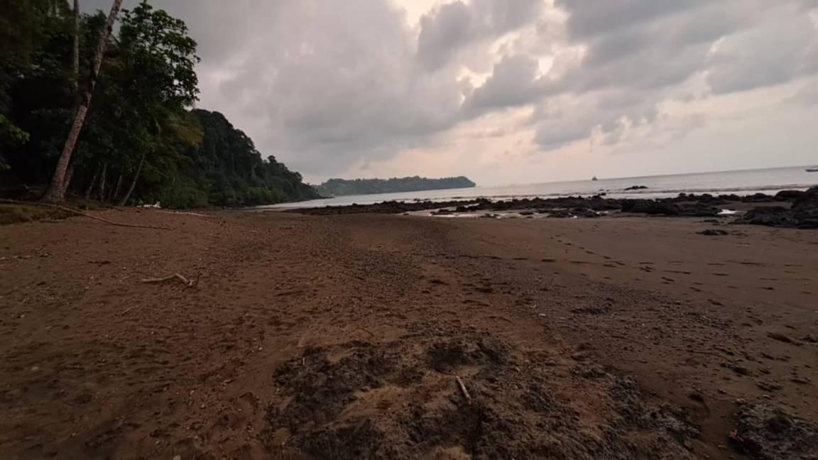 Photo of Others in Drake Bay