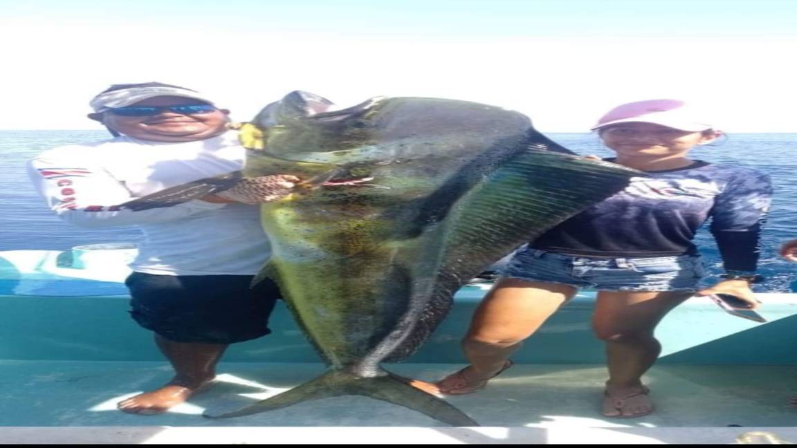 Photo of Others in Drake Bay
