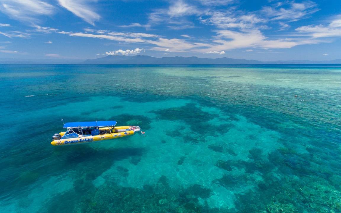 Photo of Others in Cape Tribulation