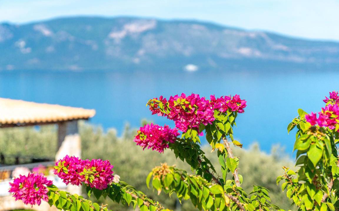 Photo of Others in Molos-Agios Konstantinos