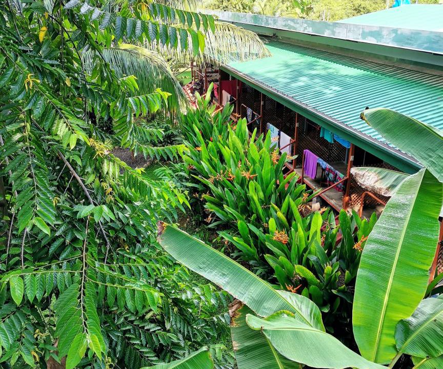 Photo of Others in Uvita