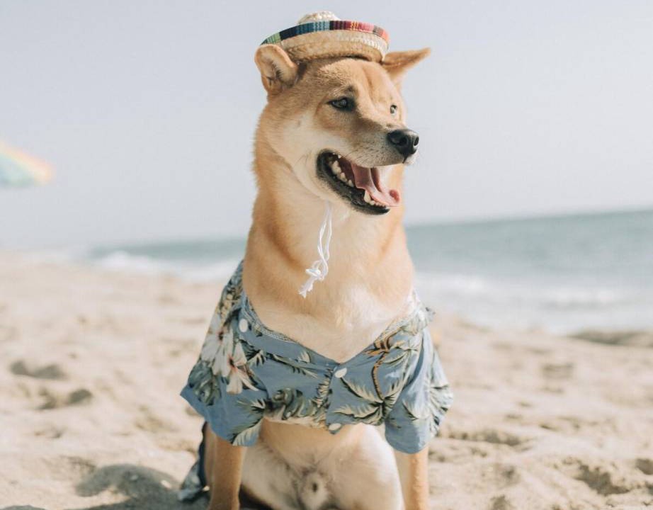 Photo of Others in Tugun