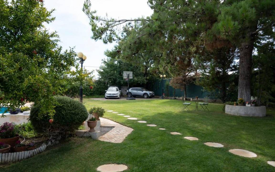 Photo of Others in Chalcis