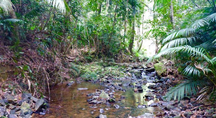Photo of Others in Kuranda