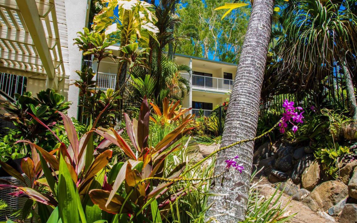 Photo of Others in Palm Cove