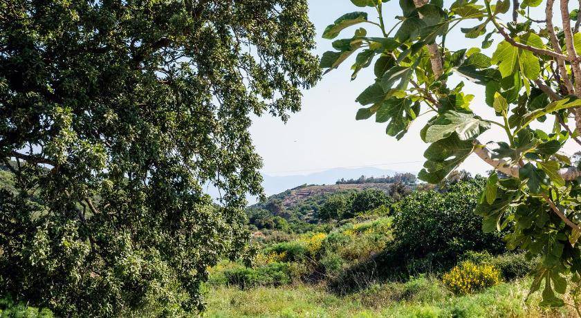 Photo of Others in Kithira