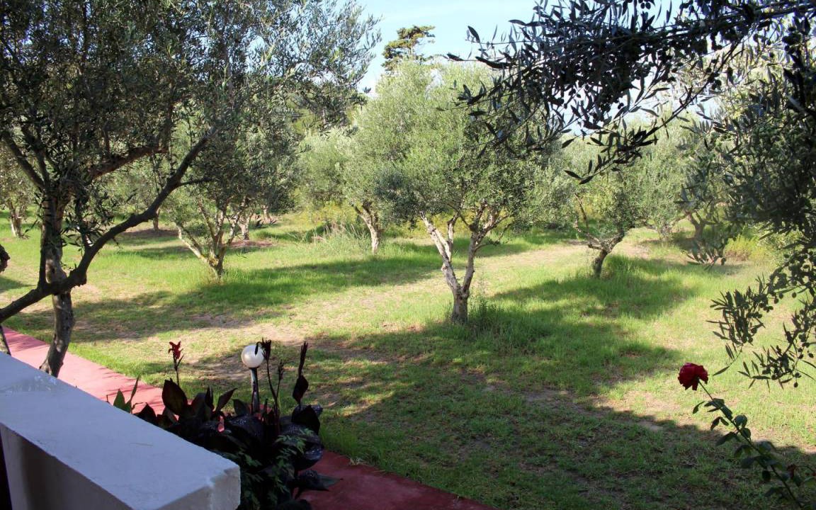 Photo of Others in Andravida-Kyllini