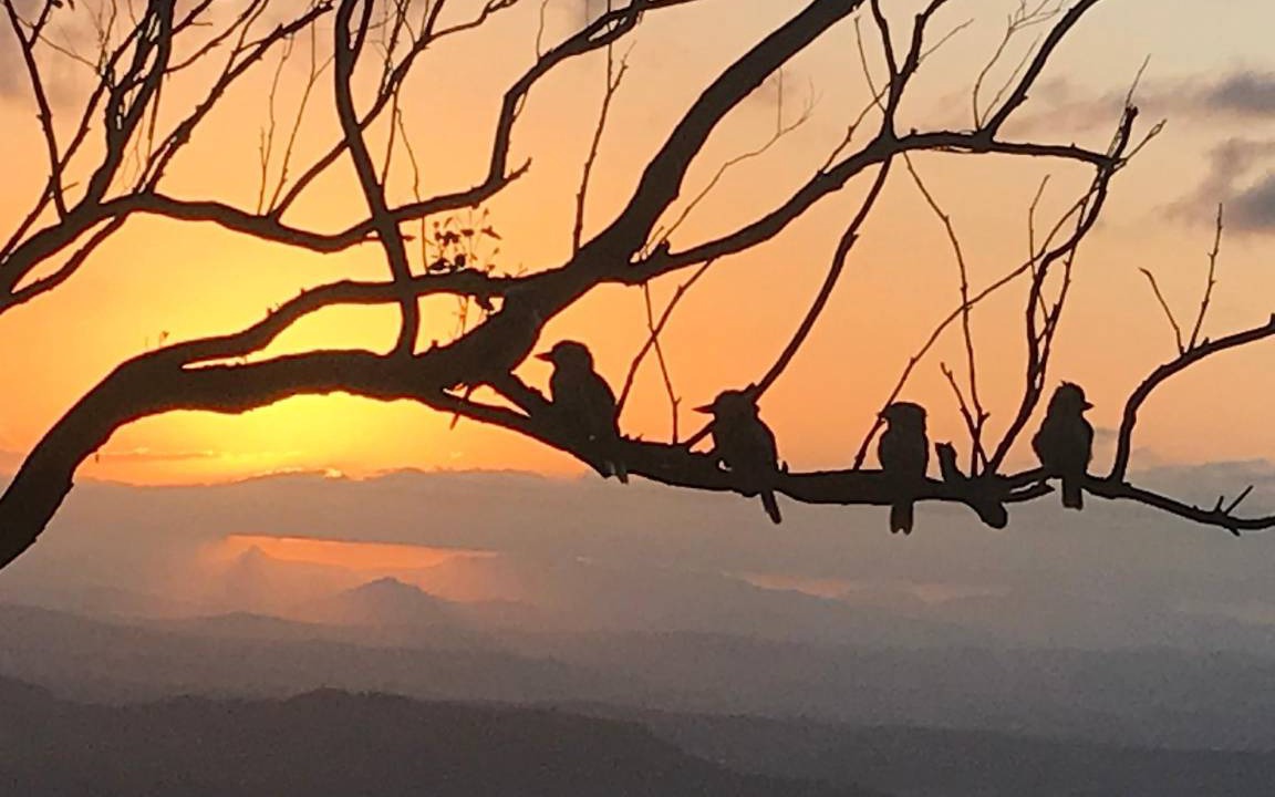 Photo of Others in Mount Tamborine
