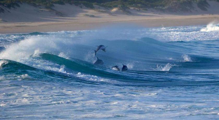 Photo of Others in Cape Saint Francis