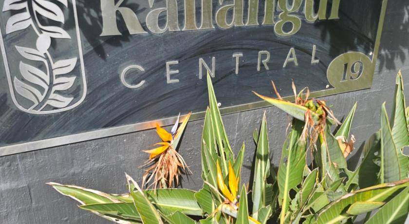 Photo of Others in Kallangur
