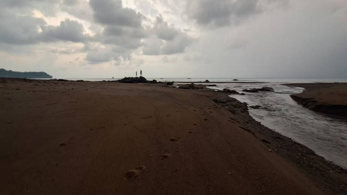 Photo of Others in Drake Bay