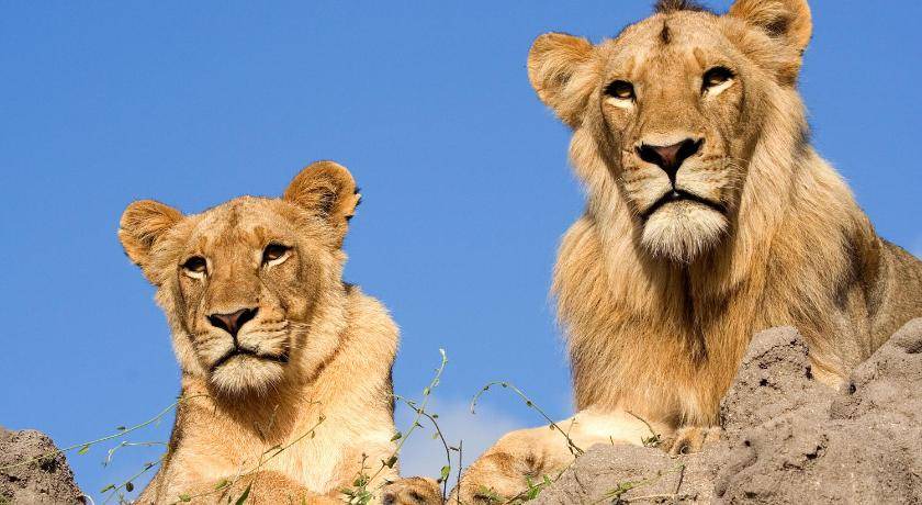 Photo of Others in Kruger National Park