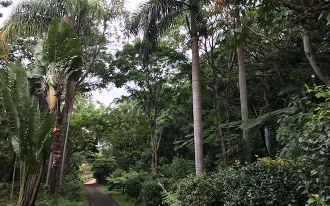 Photo of Others in Buderim