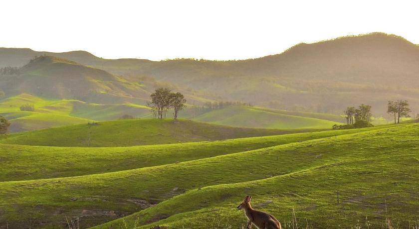 Photo of Others in Scenic Rim Regional