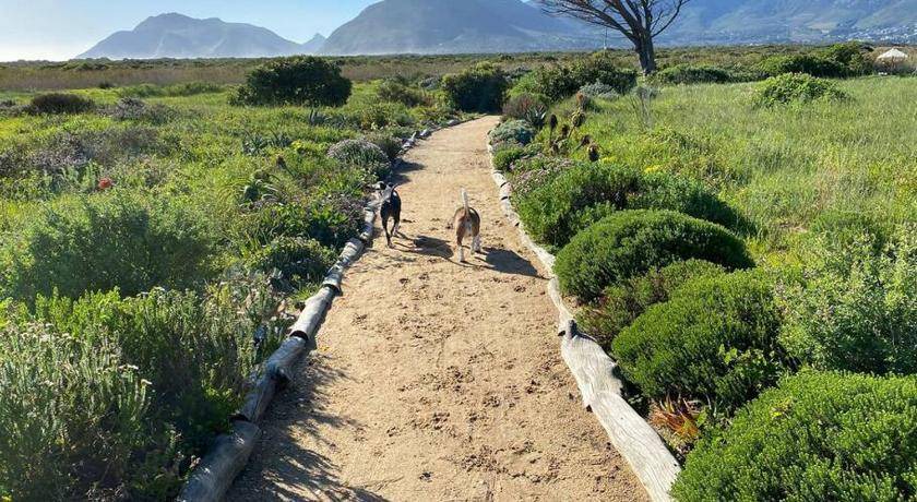 Photo of Others in Kommetjie