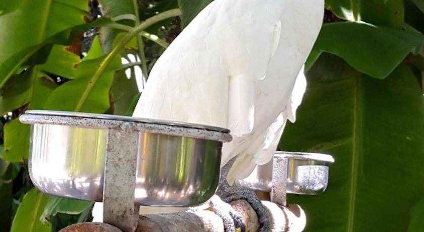 Photo of Others in Kuranda