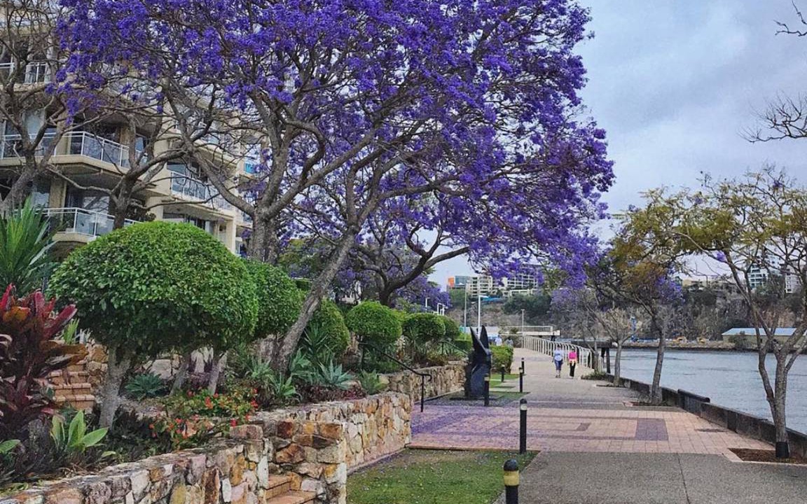 Photo of Others in Kangaroo Point