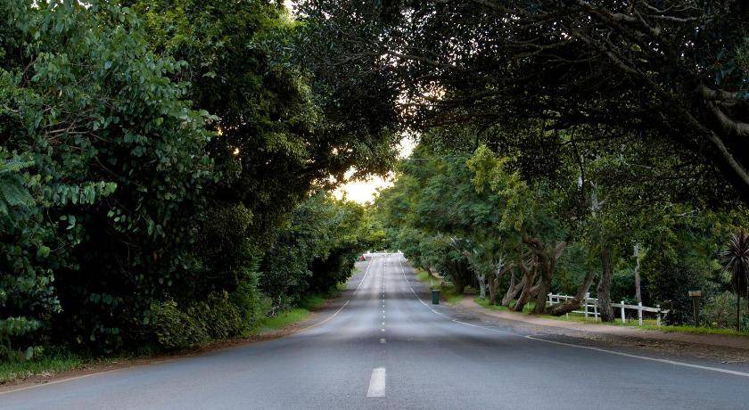 Photo of Others in North Tamborine