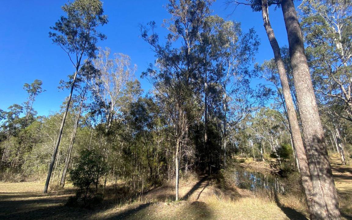 Photo of Outdoor in Tamborine