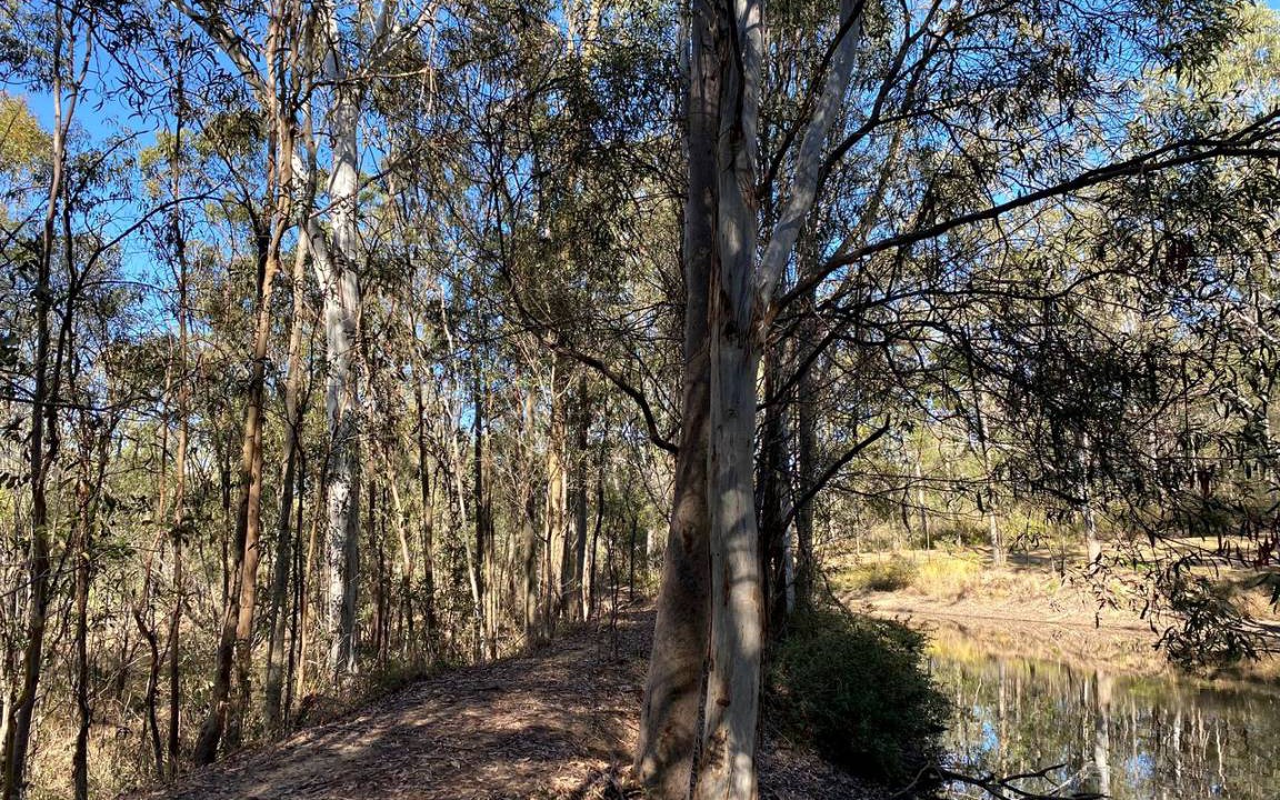 Photo of Outdoor in Tamborine